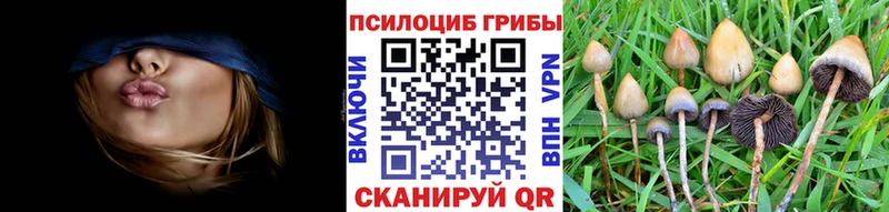 как найти   Могоча  Галлюциногенные грибы ЛСД 